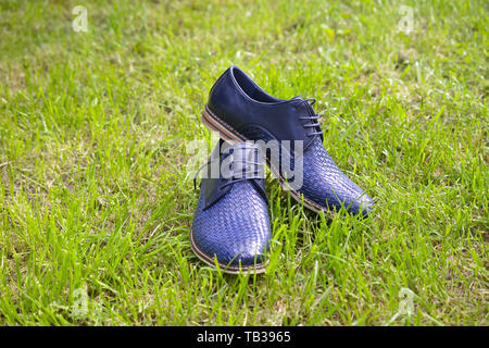 Moda uomo scarpe blu, design casual su immagine di erba Foto Stock