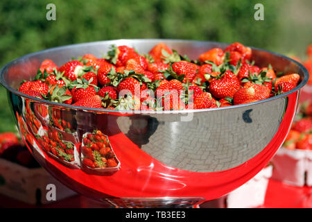 21.05.2018, Hannover, Bassa Sassonia, Germania - fragole mature in una ciotola d'argento. 00S180521D467CAROEX.JPG [modello di rilascio: non applicabile, proprietà REL Foto Stock