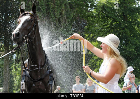 10.06.2018, Hoppegarten, Brandenburg , Germania - donna con cappello prende una doccia con un cavallo. 00S180610D764CAROEX.JPG [modello di rilascio: No, re di proprietà Foto Stock