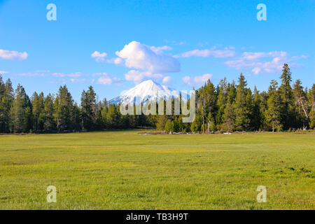 Montare McLoughlin, Oregon, Stati Uniti d'America Foto Stock