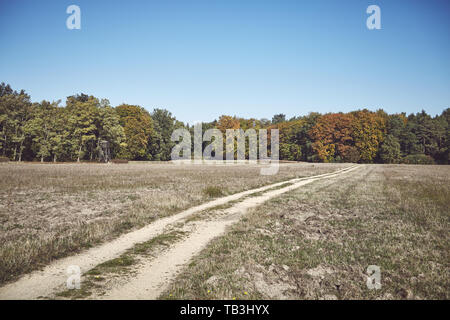 Retrò foto dai toni di una strada sterrata che conduce verso una foresta. Foto Stock