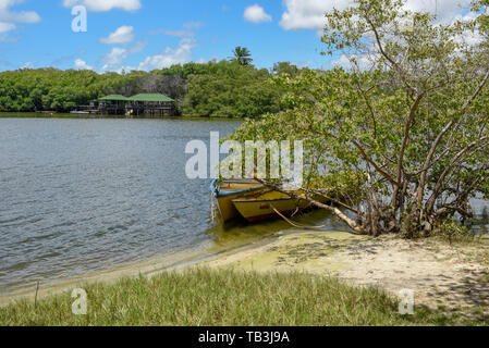 Lago a Praia do Forte sul Brasile Foto Stock