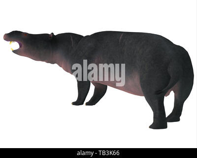 Moeritherium era un rotund semi-acquatici mammifero erbivoro che visse in Egitto durante il periodo Eocene. Foto Stock