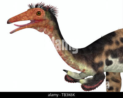 Mononykus era un carnivoro theropod dinosauro che ha vissuto in Mongolia durante il Cretacico. Foto Stock