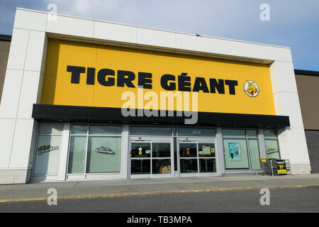 Un logo segno esterno di una tigre Geant (Giant Tiger) store a Greenfield Park, Quebec, Canada, il 23 aprile 2019. Foto Stock