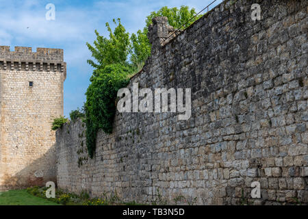 Chateau de Cadillac Cadillac (castello) in Cadillac, Francia Foto Stock