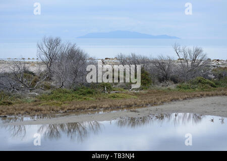 Vista panoramica della costa sabbiosa selvaggia del Parco Regionale della Maremma durante l'alba di una giornata grigia con l'Isola del Giglio sullo sfondo Foto Stock