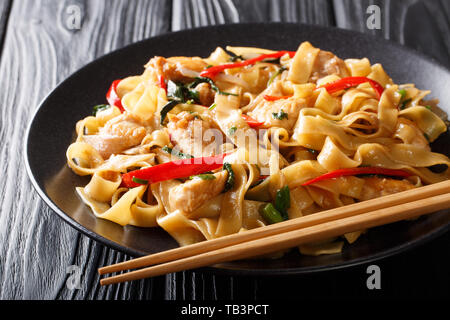 Drunken tagliatelle (Pad Kee Mao) ricetta dal caldo cucina Tailandese close-up su una piastra sul tavolo orizzontale. Foto Stock