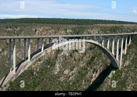 Bloukrans Bridge, Western Cape, Sud Africa Foto Stock