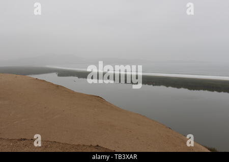 Bandurria, Perù Foto Stock