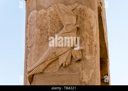 Dio Horus sulla colonna presso il grande tempio della Regina Hatshepsut a Luxor, Egitto Foto Stock