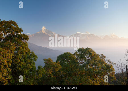 Machapuchare, Himchuli e lussureggianti foreste della regione di Annapurna in Nepal Foto Stock