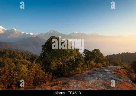 Sentiero escursionistico conduce passato Machapuchare, Annapurna Sud, Himchuli in Himalaya, Nepal Foto Stock