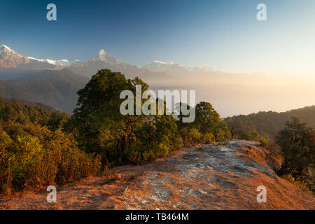 Sentiero escursionistico conduce passato Machapuchare, Annapurna Sud, Himchuli in Himalaya, Nepal Foto Stock