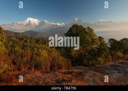 Sentiero escursionistico conduce passato Machapuchare, Annapurna Sud, Himchuli in Himalaya, Nepal Foto Stock