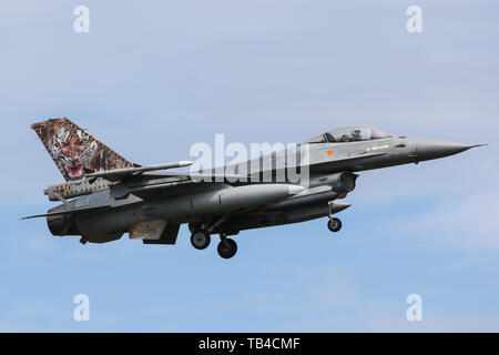 Un belga componente aria General Dynamics F-16 Fighting Falcon atterra a Mont-de-Marsan Air Base durante la NATO Tiger Meet 2019 esercizio Foto Stock