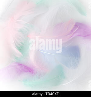 Abstract feather rainbow patchwork sfondo. Primo piano immagine. Moda tendenze colori. Foto Stock