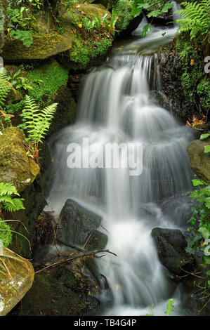 UK,South Yorkshire,Sheffield,Endcliffe Cascate del Parco Foto Stock