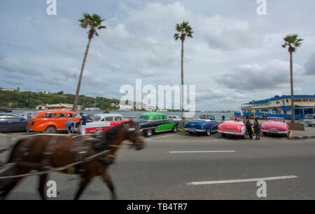 L'Avana, Cuba - una carrozza trainata da cavalli passa una fila di classico degli anni cinquanta vetture americane su Avenida del Puerto vicino al porto di Havana. Auto americane degli anni cinquanta, Foto Stock