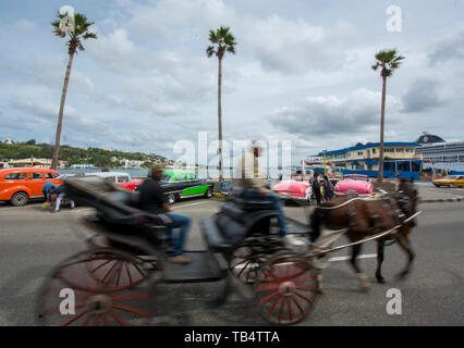 L'Avana, Cuba - una carrozza trainata da cavalli passa una fila di classico degli anni cinquanta vetture americane su Avenida del Puerto vicino al porto di Havana. Auto americane degli anni cinquanta, Foto Stock