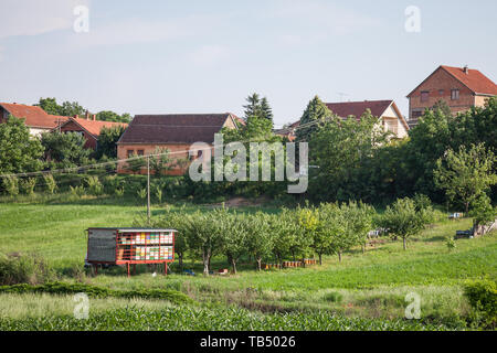 Alveari in un campo in un tipico paesaggio rurale d'Europa, adottata in Indjija, Voivodina, Servia, con fattorie visibile in background. Alveari sono utilizzati Foto Stock