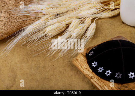 Simboli della festa ebraica Shavuot torah e shofar, campo di grano dello sfondo. Foto Stock