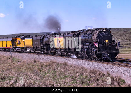 Union Pacific locomotive a vapore 4014, Big Boy, e 844 a doppia testa verso Evanston, Wyoming sul loro viaggio di ritorno a La Union Pacific vapore in negozio Foto Stock