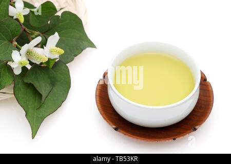 Houttuynia cordata tè, dokudami sano bere, su sfondo bianco Foto Stock