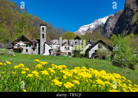 Villaggio di montagna Foroglio con vecchie case di pietra, Val Bavona, Canton Ticino, Svizzera Foto Stock