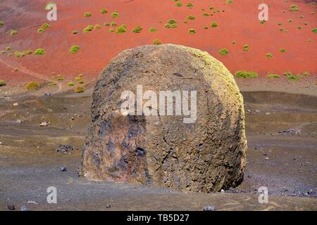 Bomba di lava nella parte anteriore della Caldera Colorada, Los Volcanes natura park Park, vicino a Tinajo, Lanzarote, Isole Canarie, Spagna Foto Stock