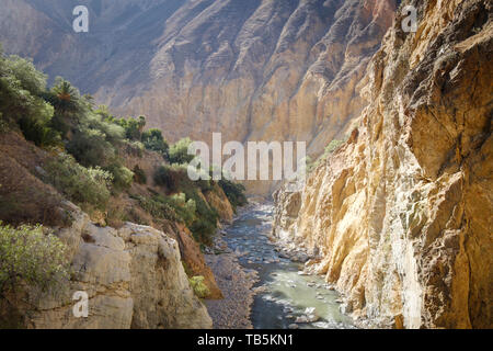 Vista panoramica del Canyon del Colca, Cabanaconde distretto, Perù Foto Stock