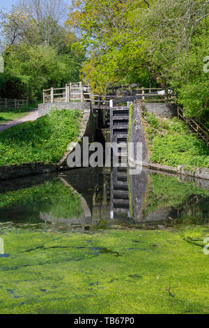 Serratura restaurato a quattordici serrature, Monmouthshire e Brecon Canal, Newport, South Wales, Regno Unito Foto Stock