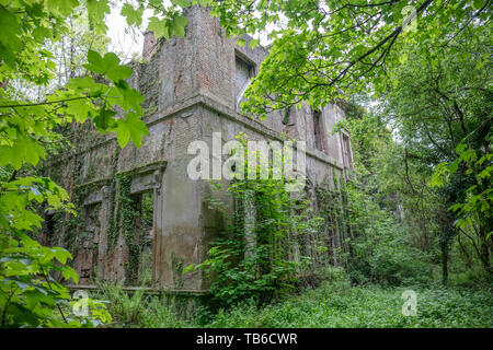 Mondo Perduto, Baron Hill House, Beaumaris, Ynys Mon, Anglesey Regno Unito - mansion di Samuel Wyatt per Bulkeley famiglia, abbandonato a causa di morte precoce fiscale 20C Foto Stock