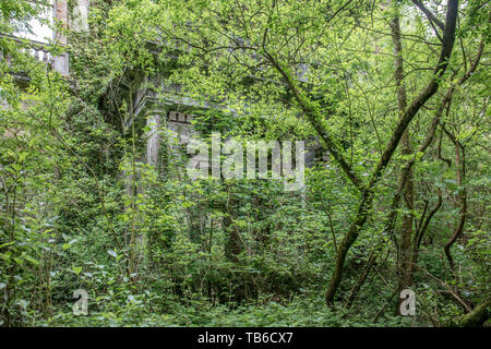 Mondo Perduto, Baron Hill House, Beaumaris, Ynys Mon, Anglesey Regno Unito - mansion di Samuel Wyatt per Bulkeley famiglia, abbandonato a causa di morte precoce fiscale 20C Foto Stock