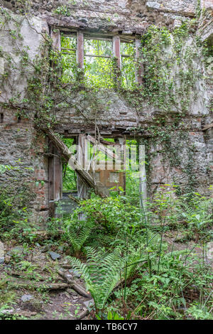 Mondo Perduto, Baron Hill House, Beaumaris, Ynys Mon, Anglesey Regno Unito - mansion di Samuel Wyatt per Bulkeley famiglia, abbandonato a causa di morte precoce fiscale 20C Foto Stock