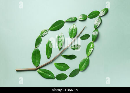 Layout creativi. Ecologia logo. Organici di foglia verde fatto di foglie. Lay piatto. Eco Friendly del pianeta e per uno sviluppo sostenibile per l'ambiente concetto. Pensare verde, mangiare Foto Stock