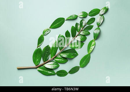 Layout creativi. Ecologia logo. Organici di foglia verde fatto di foglie. Lay piatto. Eco Friendly del pianeta e per uno sviluppo sostenibile per l'ambiente concetto. Pensare verde, mangiare Foto Stock