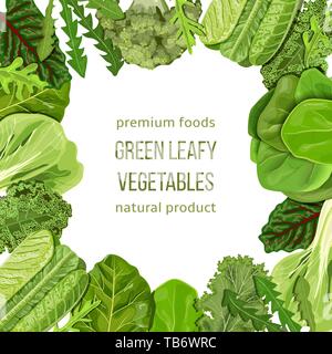 Popolare le verdure a foglia verde cornice, pugilato, confinante. la scheda Modello. Testo, copiare lo spazio. Gli spinaci ecc Illustrazione Vettoriale