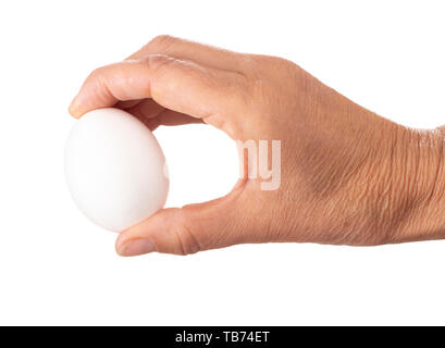 Pollo bianco, uovo di gallina trattenuto tra mano, le dita isolato su sfondo bianco. Foto Stock