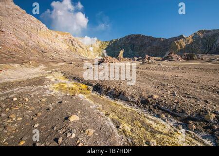 Le formazioni rocciose, giallo zolfo e fumarole sull'isola vulcanica di White Island, Whakaari, Baia di Planty, Isola del nord, Nuova Zelanda Foto Stock