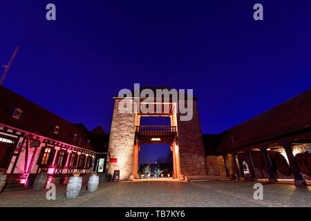 Vino tedesco Gate, Schweigen-Rechtenbach, Itinerario dei vini tedeschi, Renania-Palatinato, Germania Foto Stock