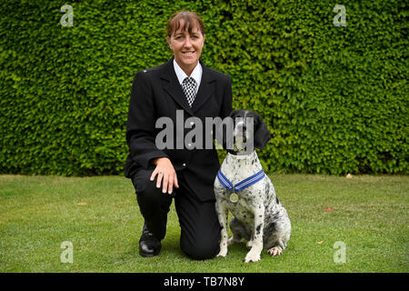 Cane di polizia Ollie, con il suo handler PC AnnaMarie Charnley, all'Onorevole Compagnia di Artiglieria a Londra la ricezione del PDSA ordine di merito. Diciannove hero cani di polizia stanno ricevendo un premio per aiutare i servizi di emergenza durante il 2017 Londra gli attentati a Westminster Bridge, London Bridge e di Borough Market. Foto Stock