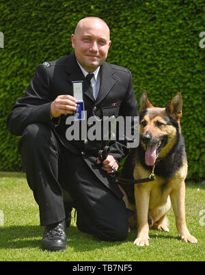 Cane di polizia marci, con il suo handler PC Neil Billany, all'Onorevole Compagnia di Artiglieria a Londra la ricezione del PDSA ordine di merito. Diciannove hero cani di polizia stanno ricevendo un premio per aiutare i servizi di emergenza durante il 2017 Londra gli attentati a Westminster Bridge, London Bridge e di Borough Market. Foto Stock