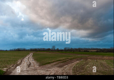 Strada di campagna in oriente fiammingo lato paese Foto Stock