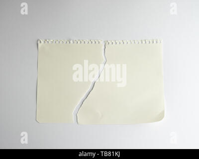 Foglio di carta bianca strappata a metà con una spirale notepad, close up Foto Stock