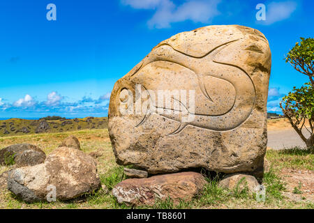 Petroglyph in Orongo vicino Rano Kau vulcano sull isola di pasqua o Rapa Nui in Cile Foto Stock