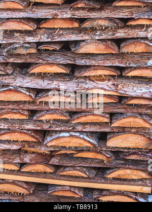 Sfondo di legna da ardere impilati nel tagliare il legno, legno legna da ardere testurizzato per lo sfondo Foto Stock