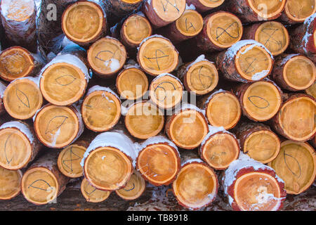 Sfondo di legna da ardere impilati nel tagliare il legno, legno legna da ardere testurizzato per lo sfondo Foto Stock