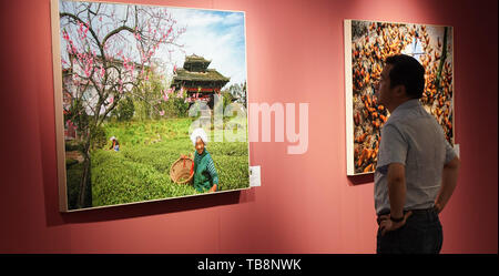 Pechino, Cina. 31 Maggio, 2019. Un visitatore viste opere di fotografia durante una mostra a tema di alleviamento della povertà in Cina il monumento del Millennio a Pechino Capitale della Cina, il 31 maggio 2019. Una mostra fotografica a tema di alleviamento della povertà ha dato dei calci a fuori il venerdì in Cina Monumento millenario. Circa 88 opere di fotografia sono in mostra fino a giugno 16. Credito: Cai Yang/Xinhua/Alamy Live News Foto Stock