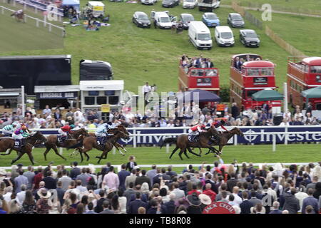 Epsom Downs, Surrey, Regno Unito. 31 Maggio, 2019. Atmosfera scene di scommettitori prima di Gosiping vince il handicap Investec mile all'Investec Derby Festival - il Signore giorno, classic corsa di cavalli. Credito: Motofoto/Alamy Live News Foto Stock